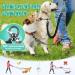 Buy NASJAC Double Dog Linen Coupler | Adjustable Reflective & Shock-Damping Shared Leash for 2 Dogs - Black & Gray - Buy Online on GoSupps.com