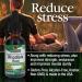 Nature's Answer Rhodiola Root - Super Concentrated Herbal Supplement for Stress Relief | Alcohol-Free, Gluten-Free, Kosher Certified | 1oz - Buy Online on GoSupps.com
