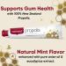 Red Seal Propolis Toothpaste with 100% NZ Bee Propolis Extract - Anise, Peppermint & Eucalyptus Oils - No Fluoride or Preservatives - 2 Pk - Buy Online on GoSupps.com