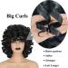 FOVER Short Curly Wig for Black Women - 14 Big Curly Afro Kinky Wig with Bangs - Heat Resistant Synthetic Hair Replacement - Natural Look (Black) - Buy Online on GoSupps.com