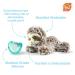 RaZbaby JollyPop Pacifier Holder with Detachable Bunny Pacifier - USA Made Silicone, Machine Washable - Ages 0M+, Easy to Hold - Buy Online on GoSupps.com