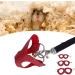 Asixxsix Dishwear & Leash Set for Hamsters Guinea Pigs Ferrets | 3 Sizes Synthetic Leather Crockery Nylon Line & Bell - International Shipping - Buy Online on GoSupps.com