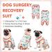 Hjyokuso Recovery Suit for Dogs & Cats | Post-Op Relaxation Shirt | Prevent Licking Vest | Size 3xL - Mushrooms & Snails Design - Buy Online on GoSupps.com