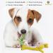 SunGrow Cotton Rope Knot Puppy Toys for Small Breeds - Durable & Handwoven Chew Items for Healthy Teeth and Gums - 2 Piece Set (Giraffe and Dog) - Buy Online on GoSupps.com