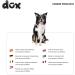 DDOXX Airmesh Dog Leash - 2m 3-Way Adjustable for All Dog Sizes - Red M (2.5 x 200 cm) - International Shipping Available - Buy Online on GoSupps.com