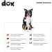DDOXX Airmesh Dog Leash - 2m 3-Way Adjustable for All Sizes - Red XS (1.5 x 200 cm) - International Shipping Available - Buy Online on GoSupps.com