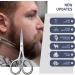 Professional Grooming Scissors Set | Precision Stainless Steel Hair Eyebrow and Mustache Trimmers | Asontao 2Pcs Small Scissors for Facial and Eyelash Grooming - Buy Online on GoSupps.com