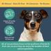 Herbal Dog Co Herbacare Seasonal Soother 250ml - Immune Support Supplement for Dogs & Puppies - All-Natural Vegan Formula - Made in UK - Buy Online on GoSupps.com