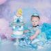 37Pcs Cinderella Party Cake&Cupcake Toppers for Birthday Party Supplies Girls' Theme Birthday Party Decoration - Buy Online on GoSupps.com