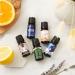 Ecodrop Allergy Essential Oil Blend - 10ml | Pure Therapeutic Grade Aromatherapy for Decongestion & Hay Fever Relief - Buy Online on GoSupps.com