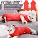 SUNFURA Cat Surgery Recovery Suit | Neuter/Spay Surgical Onesie for Cats | Anti-Licking Protection | Pink/Red (S Small) - Buy Online on GoSupps.com