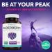 Organic Elderberry Capsules - Immune Support & Sinus Relief - 10:1 Extract - 30 Vegan Caps - Sambucus Nigra for Allergy Relief - Buy Online on GoSupps.com