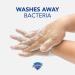 Buy Safeguard 47435 Antibacterial Foam Hand Soap - Pleasant Scent 1200mL Bottle | 4/Carton - Fast International Shipping - Buy Online on GoSupps.com