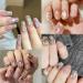 NICENEEDED 24 Grids Seashell Nail Art Nail Flakes Irregular Abalone Seashell Nail Art Slices Colorful Mermaid Nail Jewels Sequins Nail Charms for Women Nail Decoration - Buy Online on GoSupps.com