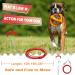 Super Floor Anchor with Leash for Large Dogs - 3m Red Earth Anchor & Skewers for Beach Use - Buy Online on GoSupps.com