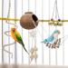 Eunewr Bird Toys for Parrots - 7-Piece Wooden Swing & Climbing Hammock Set for Conures Macaws & Finches - Perfect for Your Feathered Friends! - Buy Online on GoSupps.com