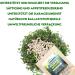 Rheinnatur Psyllium Capsules 450 pcs - High Dose Fiber for Digestion Support | Bio & Made in DE - Buy Online on GoSupps.com