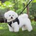 Buy Black Padded Dog Harness for Small Dogs - Comfortable Puppy Harness - SS Black - Buy Online on GoSupps.com