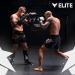 Elite Sports Muay Thai Shin Guards Kickboxing MMA Muay Thai Protective Shin Pad Leg Guards BLACK S-M - Buy Online on GoSupps.com