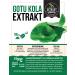 Gotu Kola Extract Powder 100g | High-Dose 10% Asiaticoside | Vegan & Additive-Free | Premium German Quality - Buy Online on GoSupps.com