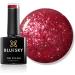 BLUESKY Gel Polish DAZZLING RANGE NEW LUXURIOUS GLITTERS CHRISTMAS 2021 UV LED NAIL SOAK OFF (Requires Drying Under UV LED Lamp) (BDP02 In The Spotlight) - Buy Online on GoSupps.com