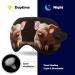 Shop Cute Pig Print Outdoor Light-Blocking Eye Mask | Multi-Functional Travel Eye Mask for Comfort - Buy Online on GoSupps.com