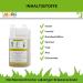 Estella Bronchial Juice for Horses 1L | Herbal Extract with Fennel Elderberry & Linden Blossom | Natural Cough Relief for Airways Lungs & Breathing Problems - Buy Online on GoSupps.com