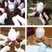 Happyyami Large Capacity Lamb Milk Feed Bucket with Nipples - Durable Animal Feeding Pot for Farm Bottle - Ideal for Lamb, Dog, Pig - 32X23CM - Buy Online on GoSupps.com