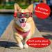 Dog Sunglasses for Small Dogs | Windproof Adjustable Eye Protection | Red Dog Glasses for Outdoor Use - Buy Online on GoSupps.com