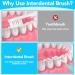 Buy 20 Interdental Brushes for Superior Oral Health Colorful Tooth Cleaning Tools for Gaps in Teeth - Buy Online on GoSupps.com