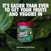 GHOST Greens Superfood Powder - 30 Servings - 19 Super Greens & Reds Fruits Vegetables Spirulina & Chlorella Prebiotics 10 Billion CFU Probiotic & Digestive Enzymes - Gluten-Free (Lime) - Buy Online on GoSupps.com