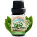 Lily of The Valley Absolute Oil (Convallaria majalis) 0.33 fl oz/ 10 ml