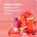 NIVEA Watermelon Shine Lip Balm (2 X 4.8g) | Subtle Pink Tinted Lip Care 24H Hydration - Buy Online on GoSupps.com