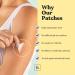Patch Brand Wellness Support Patches - Natural & Balanced Plant-Based Ingredients | Cruelty-Free & Water-Resistant - Buy Online on GoSupps.com