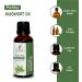 Mugwort Oil (Artemisia Vulgaris) Essential Oil 100% Pure Natural Undiluted Uncut Therapeutic Grade Oil 0.16 Fl.OZ 0.16 Fl Oz (Pack of 1) - Buy Online on GoSupps.com