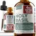 Rejuvica Health Active Holy Basil 4oz XL Super Size - Advanced Stress Support Supplement Drops - Holy Basil Leaves Liquid Extract - Vegan Sugar Free Non GMO Tincture 4 Fl Oz (Pack of 1)