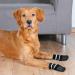 Trixie 19522 Anti-Slip Dog Socks S/M - Black 2 Pack | International Shipping Available - Buy Online on GoSupps.com