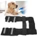 Pet Leg Support Dog Knee Pad Front Leg Protective Brace Support Pet Gear for Injury Surgery Recovery M - Buy Online on GoSupps.com