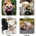 Adjustable French Bulldog Muzzle - Breathable Mesh Anti-Biting and Chewing - M Black - Buy Online on GoSupps.com