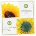 Zerodeko 50 Pcs Simulated Sunflower Clothes Decoration Easy to Attach Patch Sunflower Design Attractive Patch Cotton Patch Coat Artificial Flower Dance Costume Clothing Decorate Silk Cloth As Shownx5pcs 10X10X2CMx5pcs - Buy Online on GoSupps.com