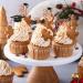 WOTEG Graduation Cupcake Toppers 2023 | Graduation Theme Cupcake Toppers - Grad Caps Food Appetizer Picks Cake Graduation Party Decorations Diploma Cupcake Picks for Cake Rose Gold - Buy Online on GoSupps.com