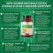 Zazzee Extra Strength 8-in-1 Immune Support - 180 Vegan Capsules | Vitamin C, D3, Zinc, Elderberry, Echinacea, Goldenseal, Turmeric, and Astragalus - 1400mg per Capsule, All-Natural - Buy Online on GoSupps.com
