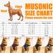 Musonic No Pull Dog Harness Breathable Adjustable Comfort Free Lead Included for Small Medium Large Dog Best for Training Walking S Pink S (Pack of 1) Pink - Buy Online on GoSupps.com