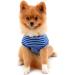 Shop Paidful 100% Cotton Summer Striped T-Shirt for Small Dogs - Blue Welpe Tee for Chihuahua & Yorkshire | Sizes M (Back Length 25cm Bust 37cm) - Buy Online on GoSupps.com