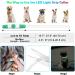 Auauy LED Light Neck Band for Dogs & Cats - USB Charging Waterproof Adjustable Safety Collar with 3 Modes (Green) - Buy Online on GoSupps.com