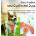 ThinkPet Reflective Air Mesh Vest Leash Set for Small Medium Dogs - Neon Orange - Buy Online on GoSupps.com