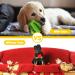 Zeaxuie 9 Pack Luxury Puppy Toys for Teething Small Dogs - Squeaky & Chew Toys, Treat Ball, Rope Toys - Fox Design - Buy Online on GoSupps.com