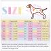 Buy Pumyporeity Recovery Suit for Dogs - Medical Shirt for Post-Surgery Comfort (Pink Stripes XL) | A-ROSA - Buy Online on GoSupps.com