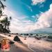 Oceans Theme Gel Candle - Blue Purple Pink Scented | Starfish Whelk Aromatherapy for Meditation & Relaxation | 2024 New Release - Buy Online on GoSupps.com