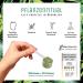 NaturTreu Superfood Powder | Vegan Plant Ritual - 300g Smoothie & Greens Powder with Wheat Grass Barley Grass Lucuma Maca Spinach Moringa & Probiotics - Buy Online on GoSupps.com
